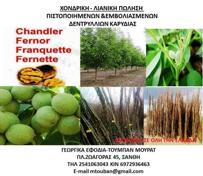 ΓΕΩΠΟΝΟΣ ΓΕΩΡΓΙΚΑ ΕΦΟΔΙΑ ΞΑΝΘΗ ΤΟΥΜΠΑΝ ΜΟΥΡΑΤ